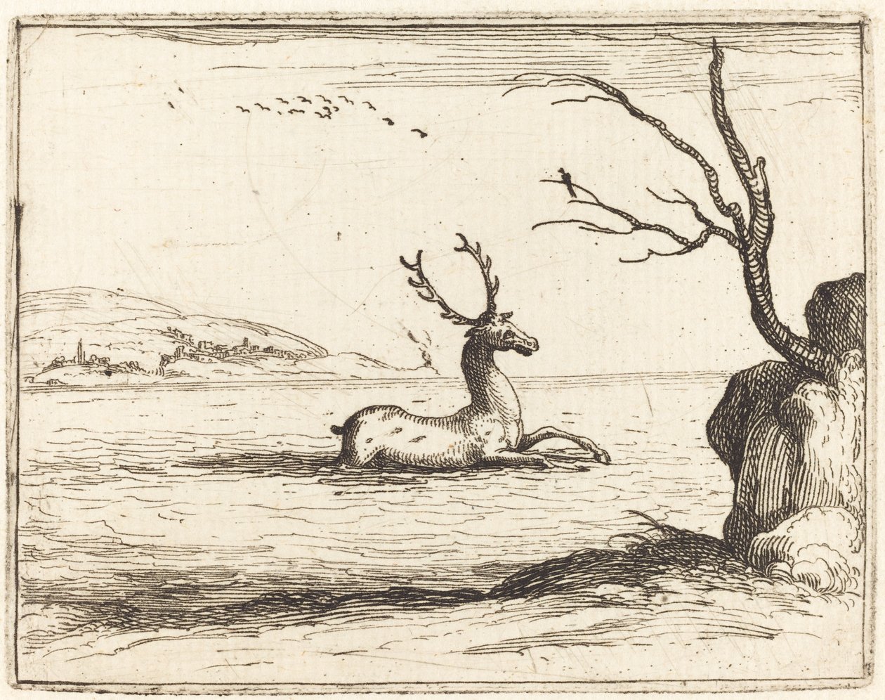 Szarvas a vízben alkotó: Jacques Callot