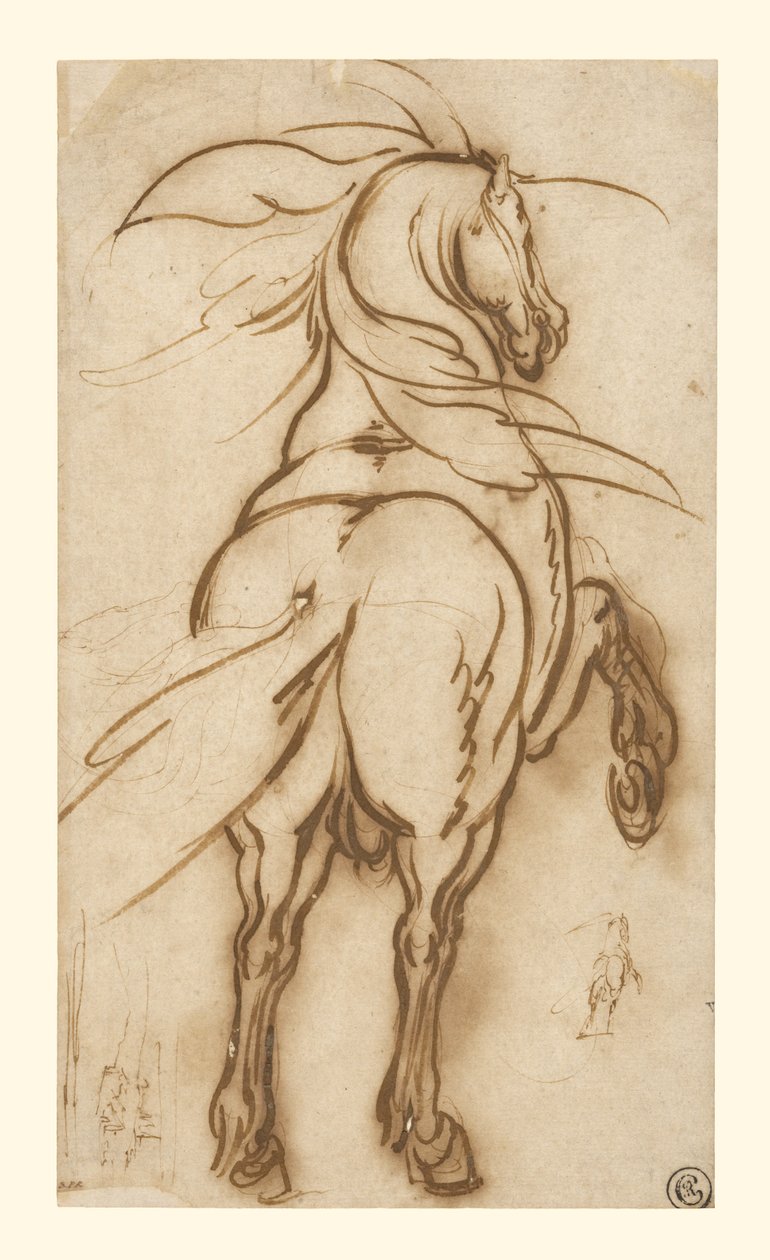 Tanulmány egy nevelő lóról alkotó: Jacques Callot
