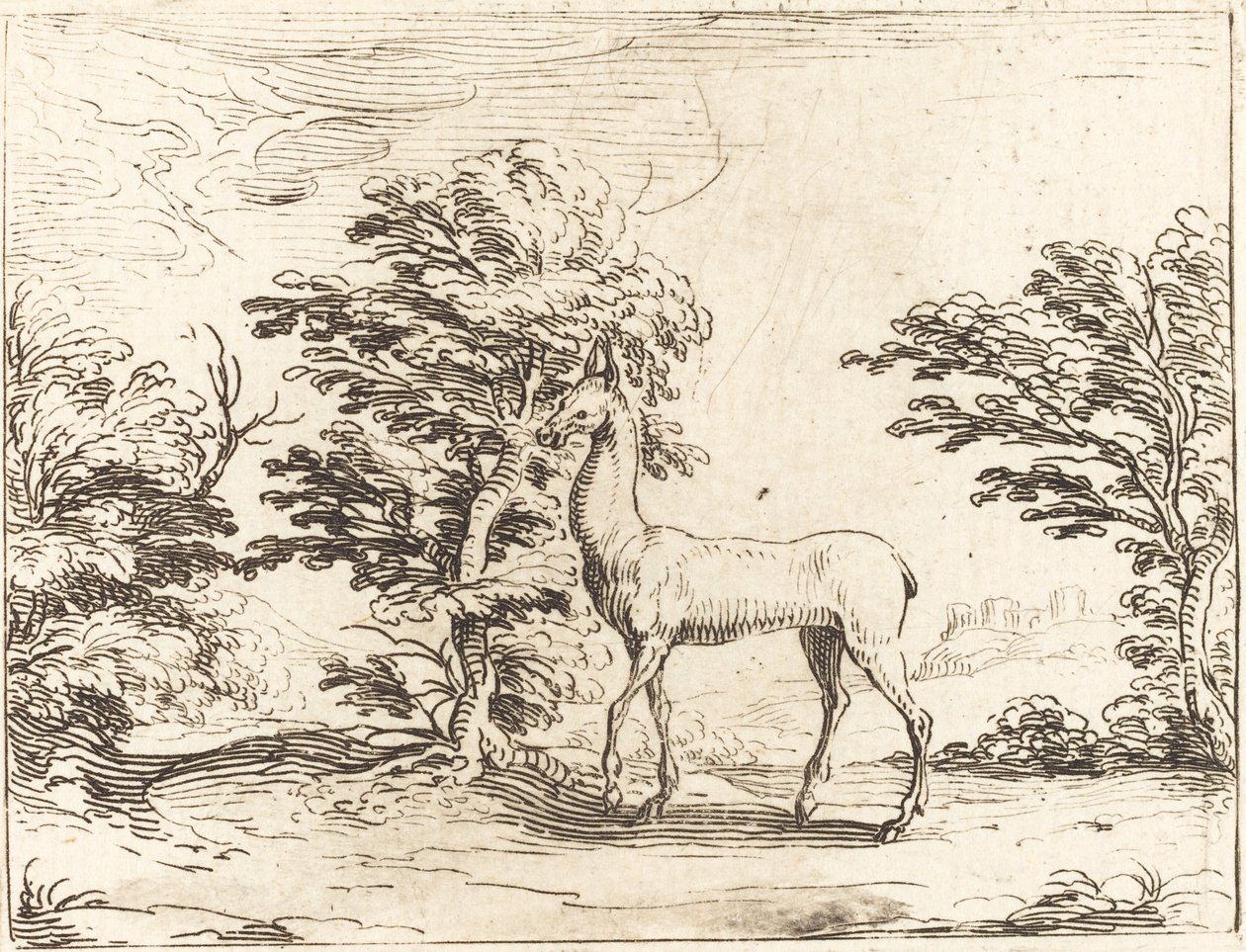 Az őzike alkotó: Jacques Callot