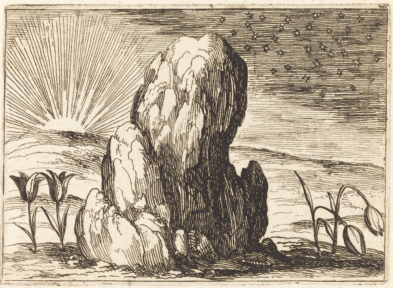 A tulipánok és a nap alkotó: Jacques Callot