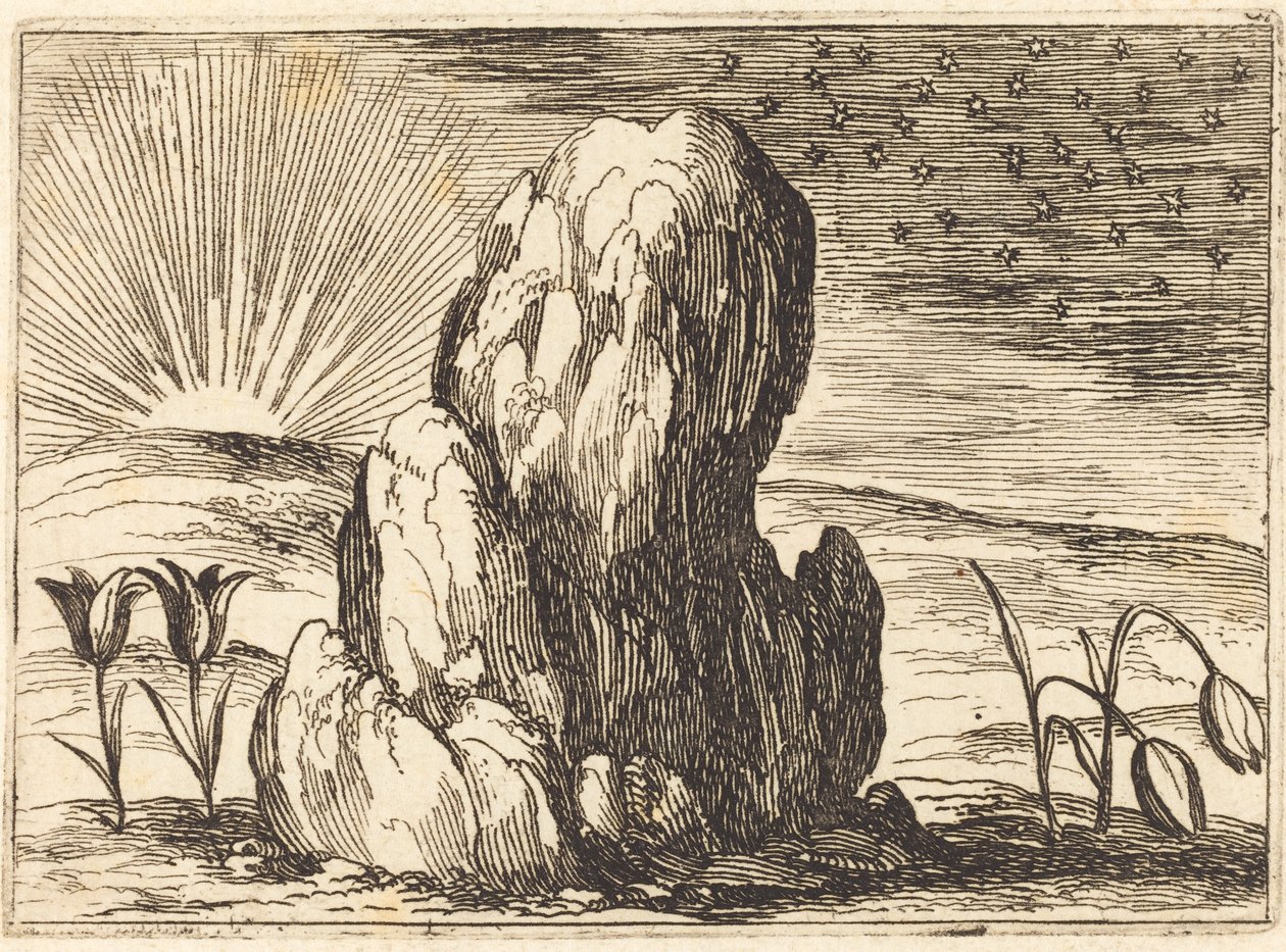 A tulipánok és a nap alkotó: Jacques Callot