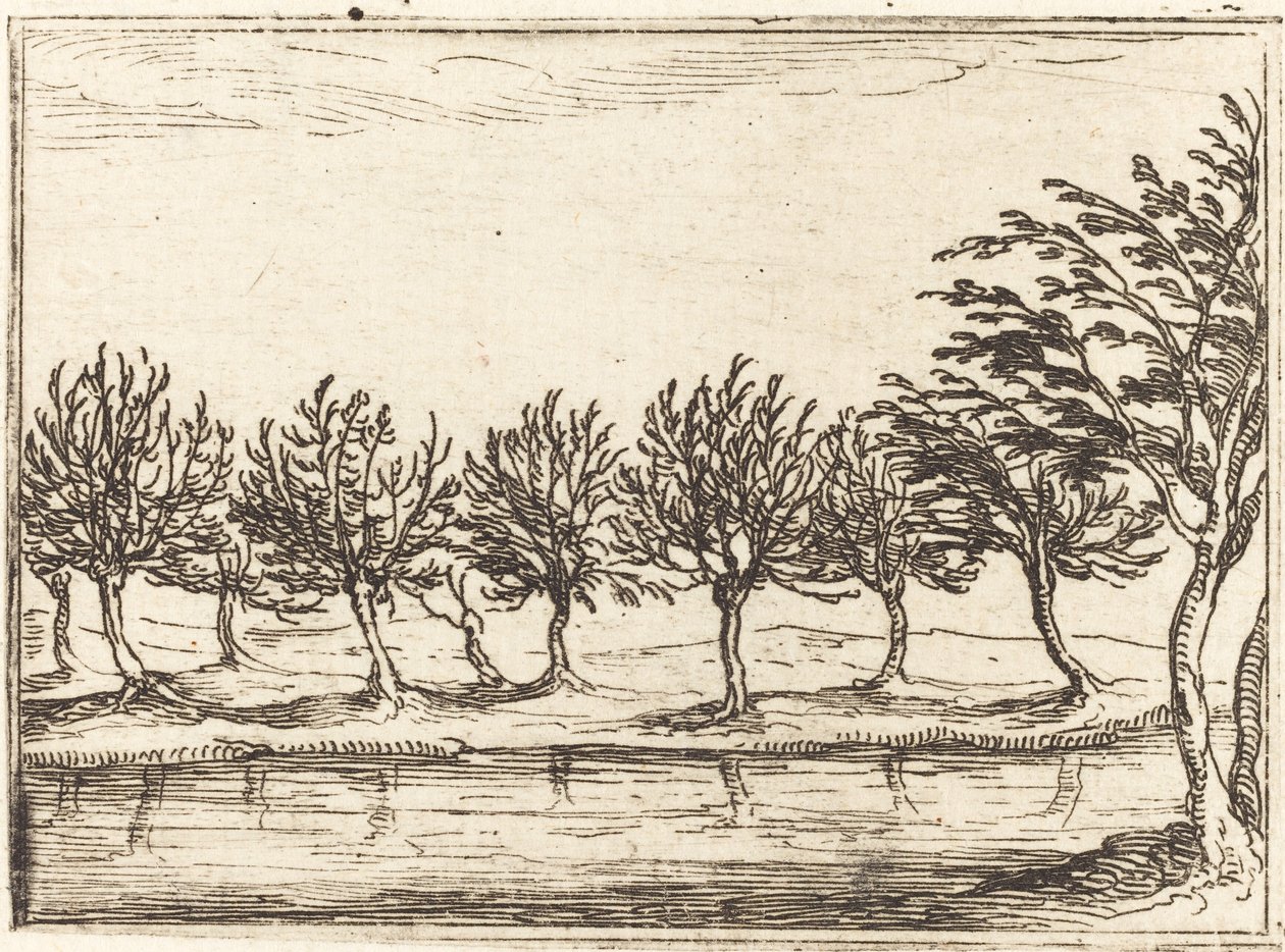Fűzfa a víz szélén alkotó: Jacques Callot