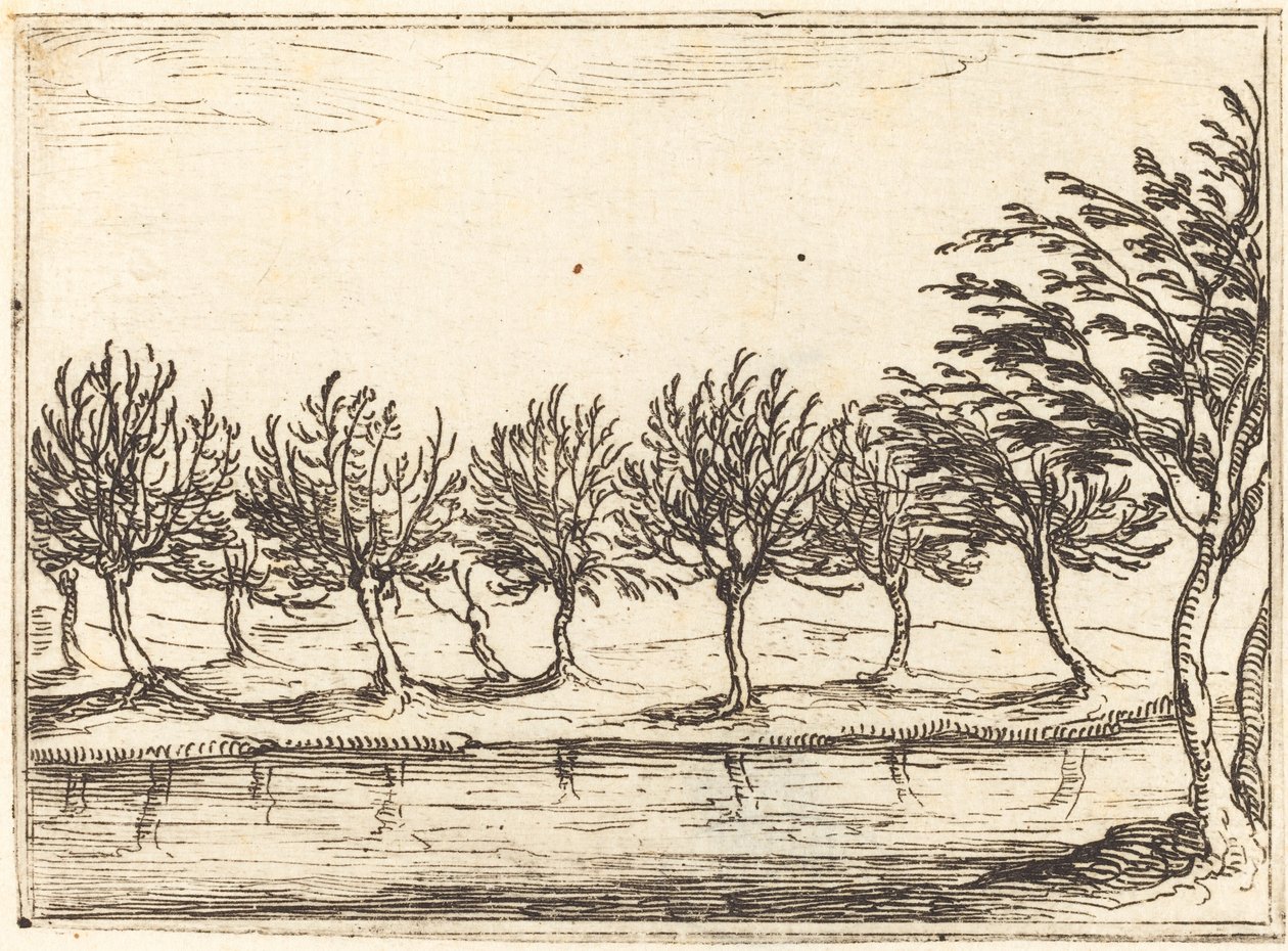 Fűzfa a víz szélén alkotó: Jacques Callot