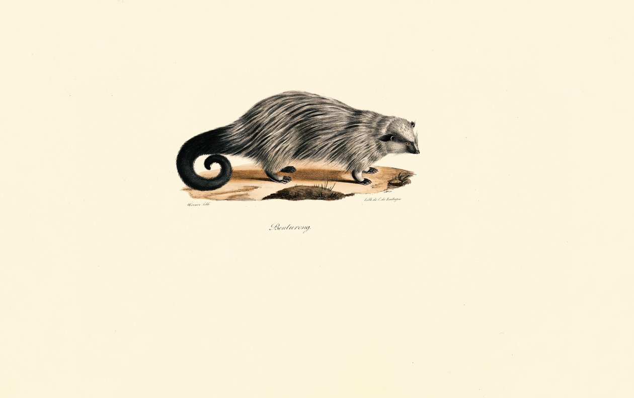  alkotó: Jacques Christophe Werner