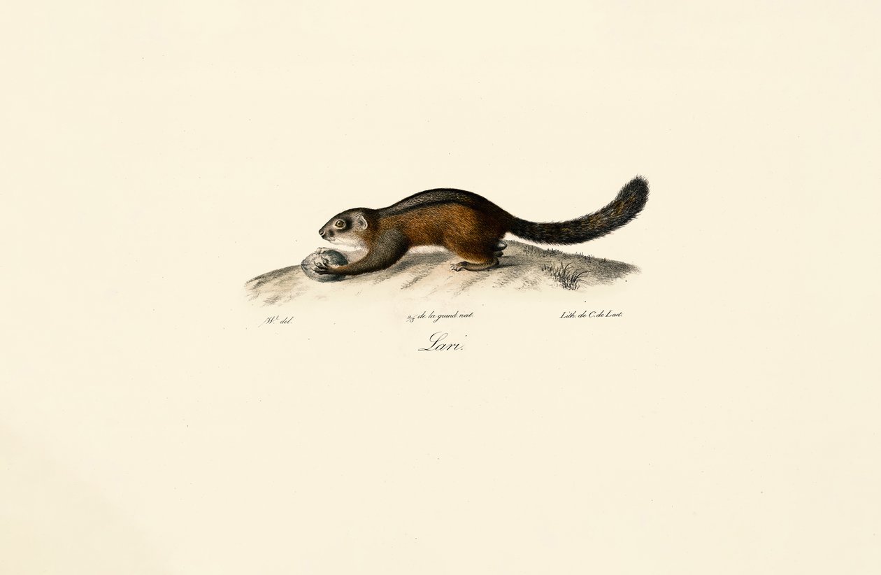  alkotó: Jacques Christophe Werner