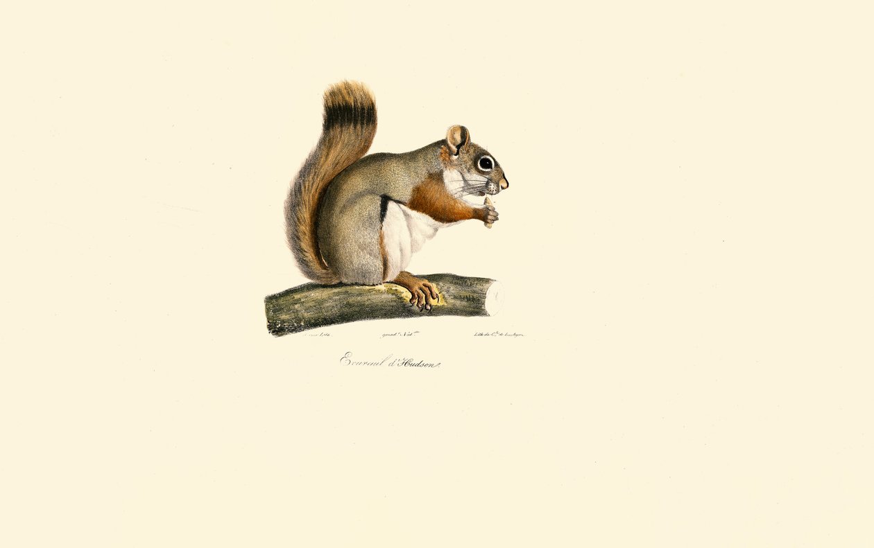  alkotó: Jacques Christophe Werner
