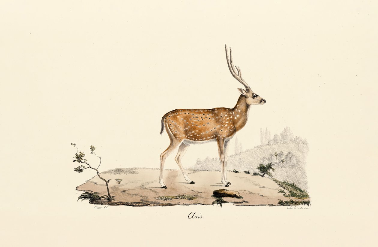  alkotó: Jacques Christophe Werner