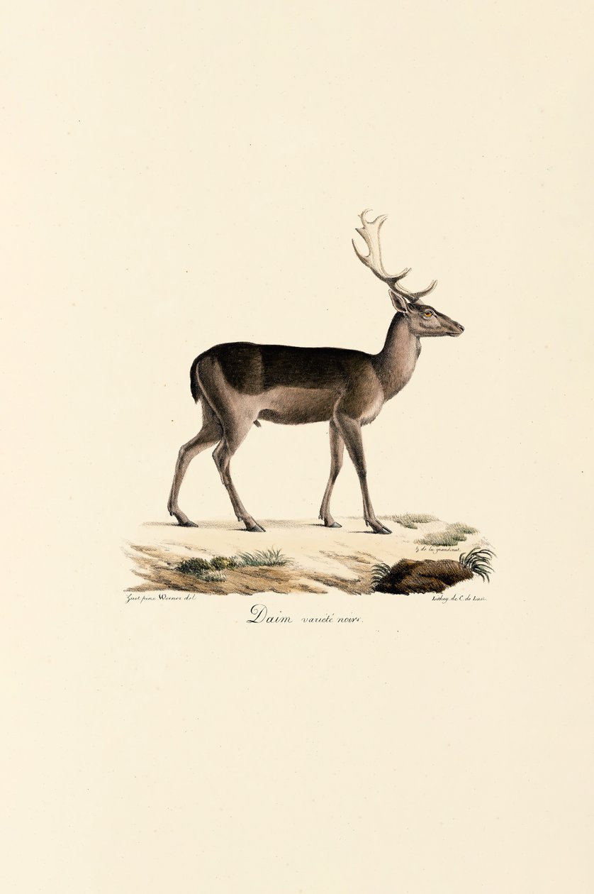  alkotó: Jacques Christophe Werner