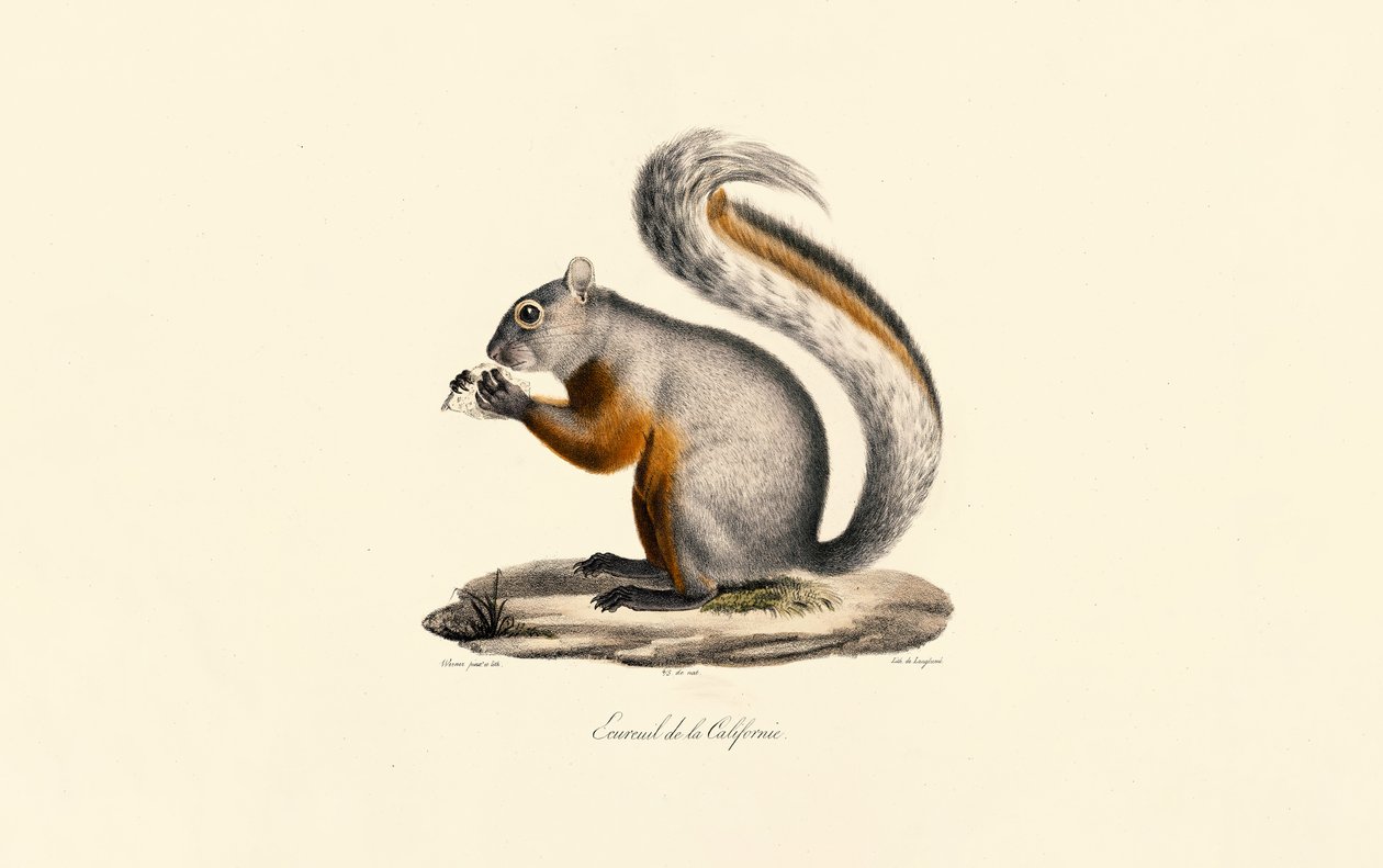  alkotó: Jacques Christophe Werner