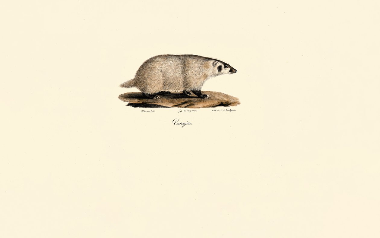  alkotó: Jacques Christophe Werner
