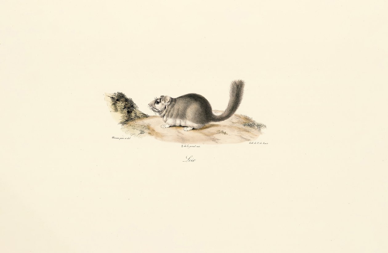  alkotó: Jacques Christophe Werner