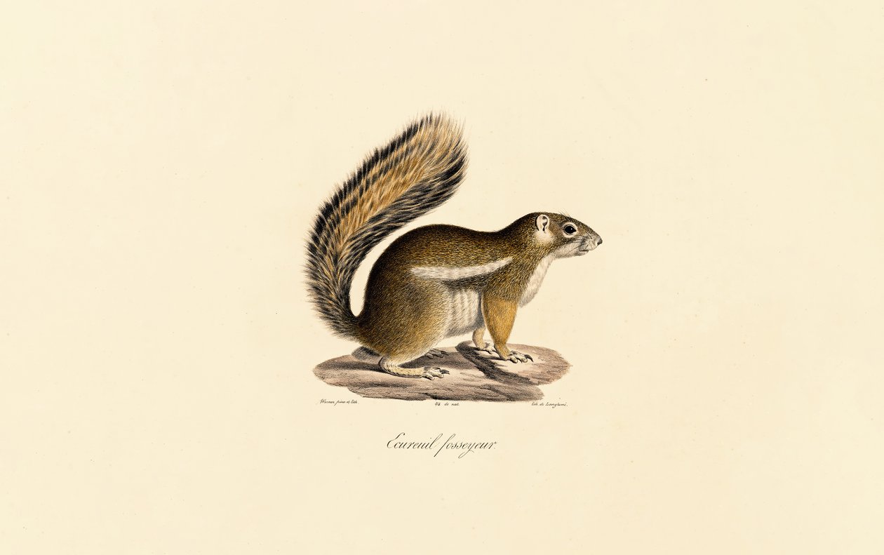  alkotó: Jacques Christophe Werner