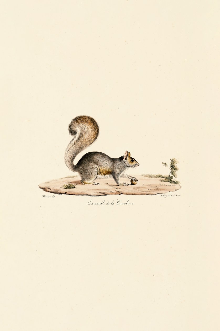  alkotó: Jacques Christophe Werner