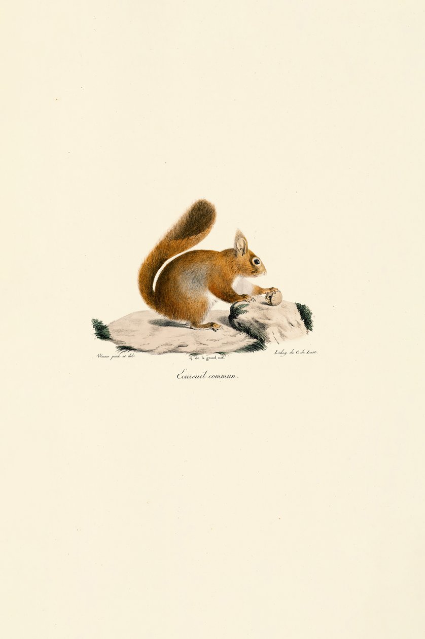  alkotó: Jacques Christophe Werner