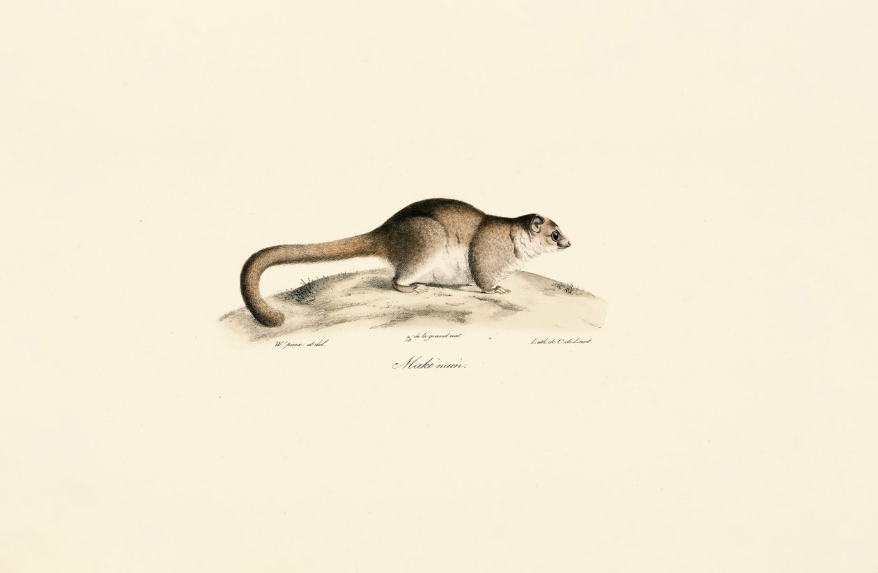  alkotó: Jacques Christophe Werner