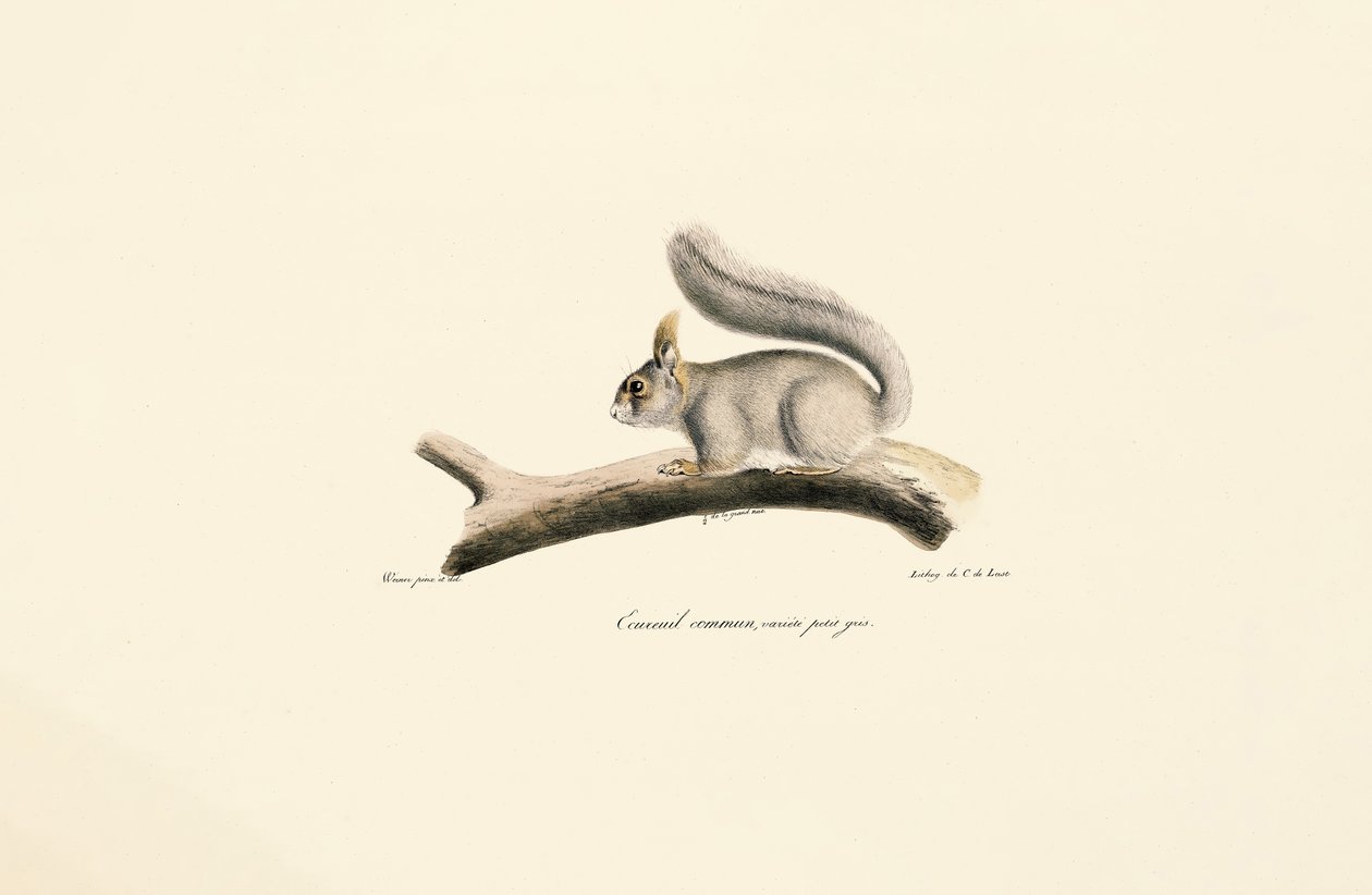  alkotó: Jacques Christophe Werner