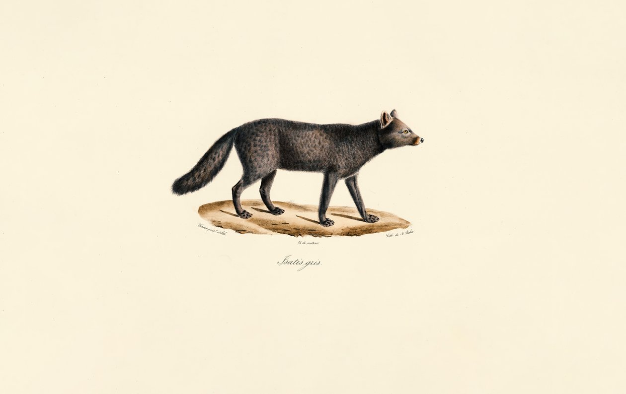  alkotó: Jacques Christophe Werner