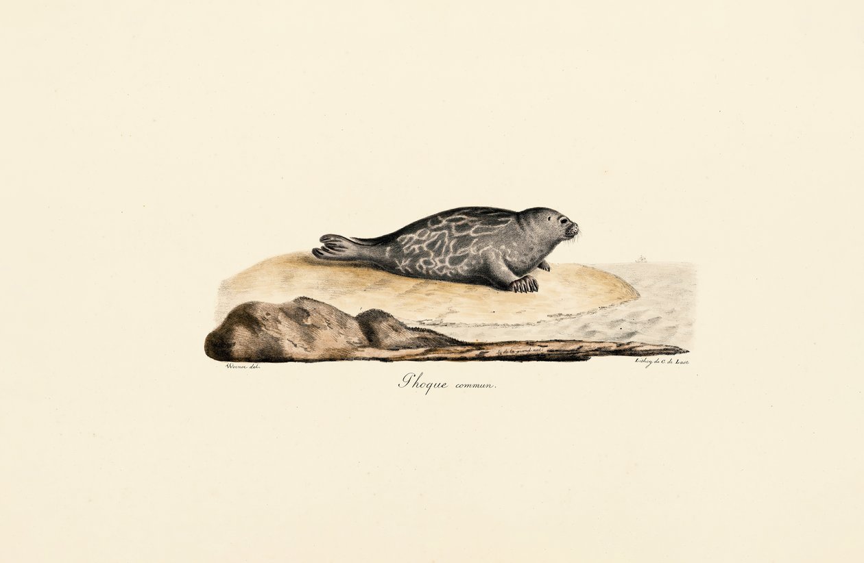  alkotó: Jacques Christophe Werner