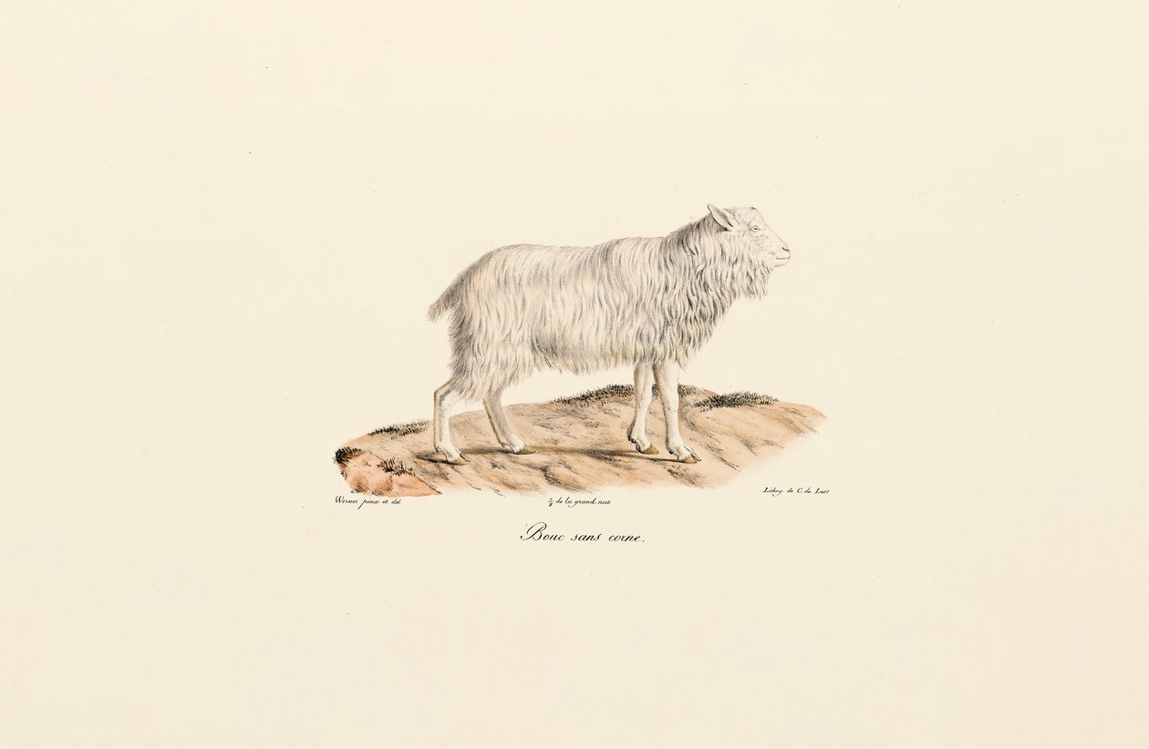  alkotó: Jacques Christophe Werner