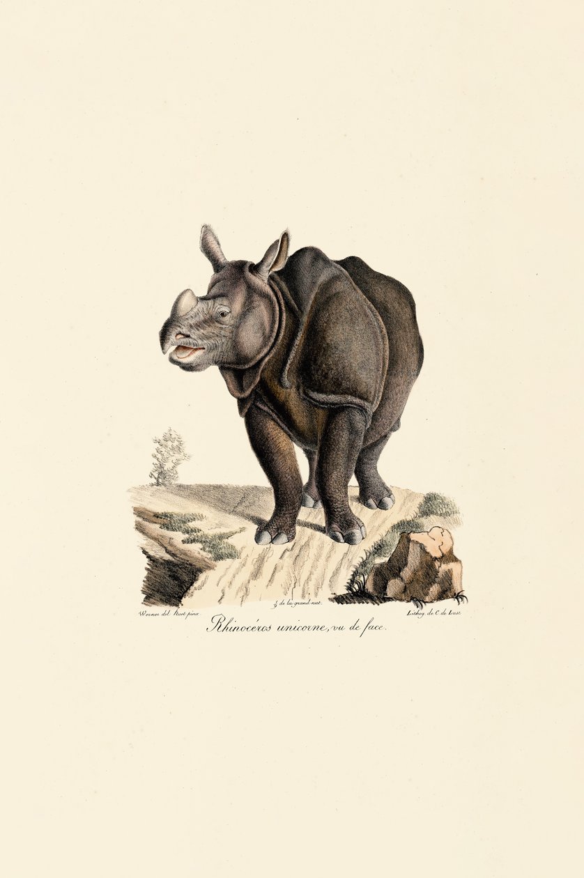  alkotó: Jacques Christophe Werner