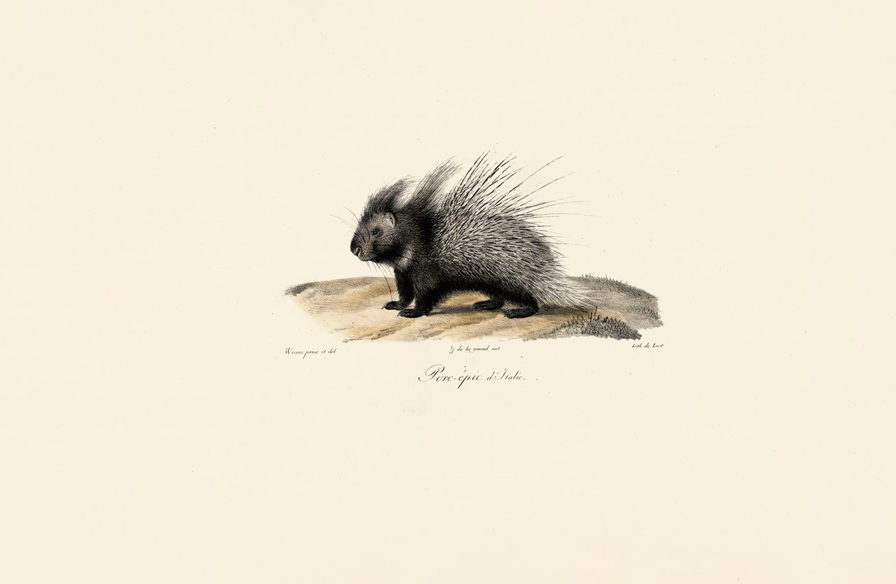  alkotó: Jacques Christophe Werner