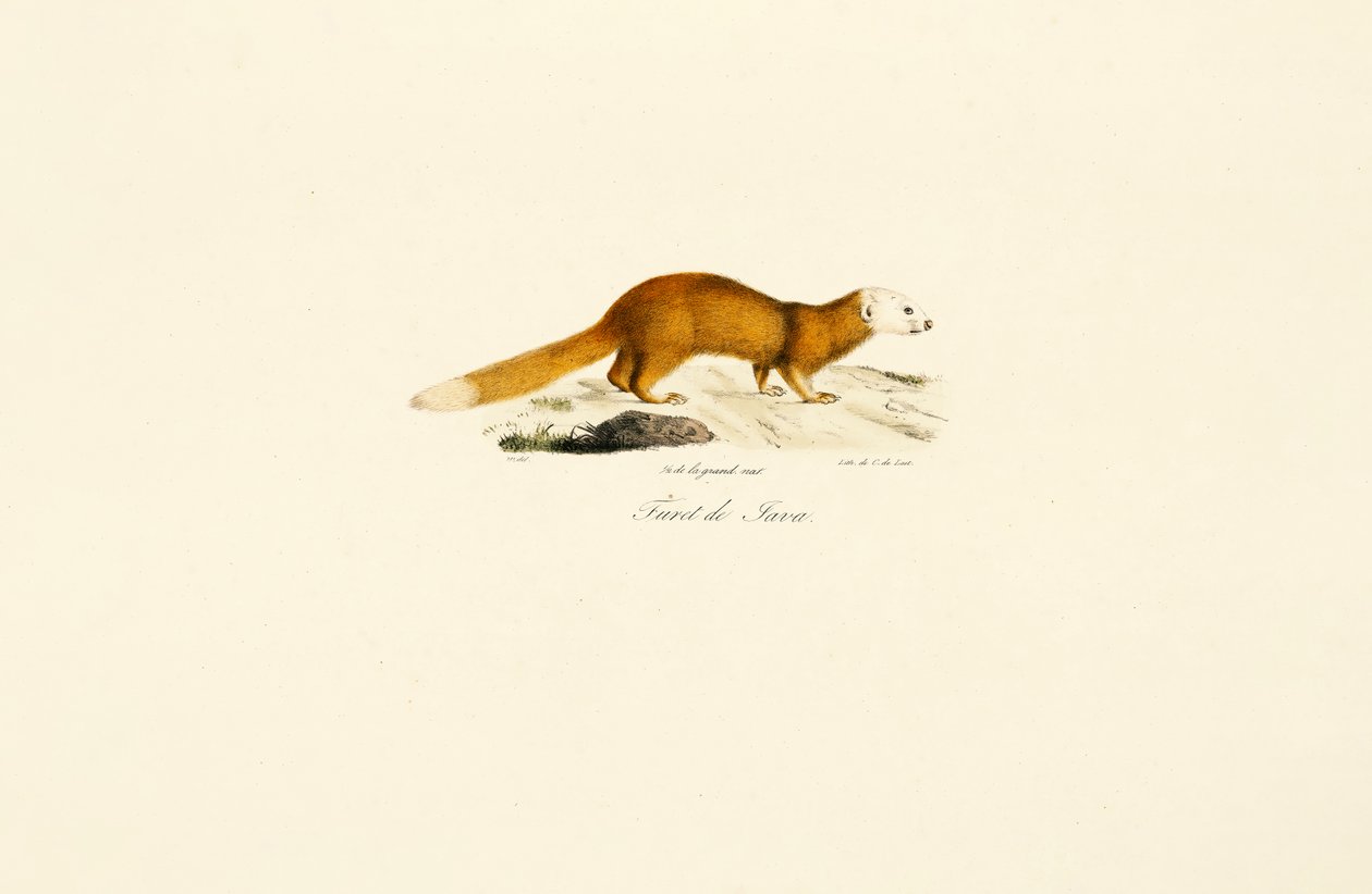  alkotó: Jacques Christophe Werner