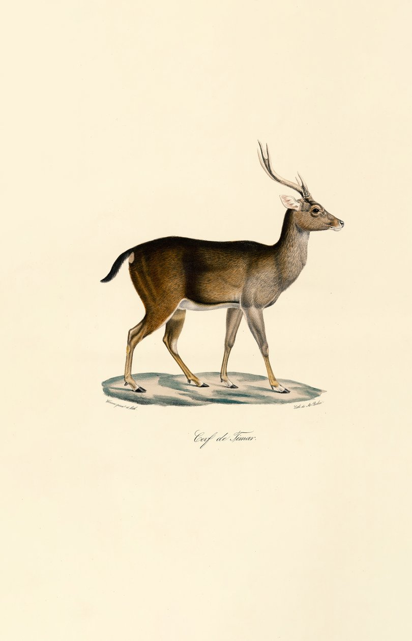  alkotó: Jacques Christophe Werner