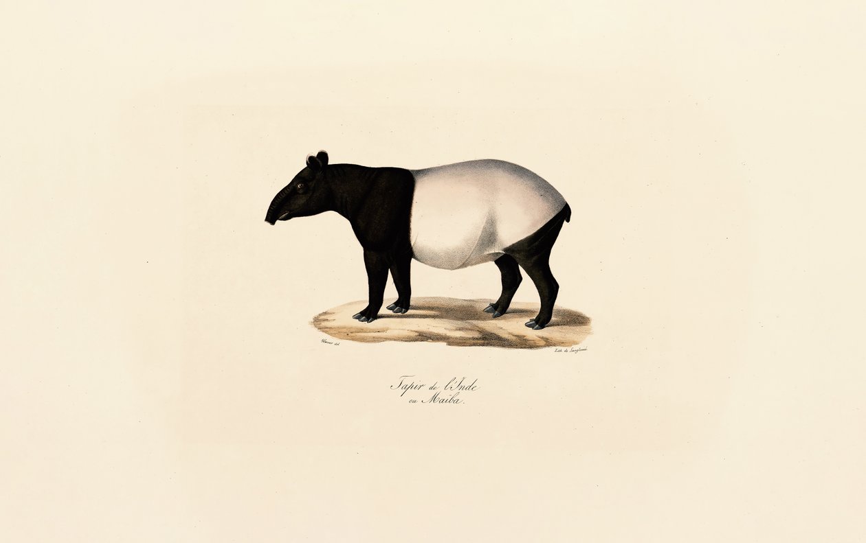  alkotó: Jacques Christophe Werner
