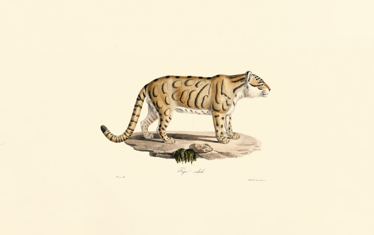  alkotó: Jacques Christophe Werner