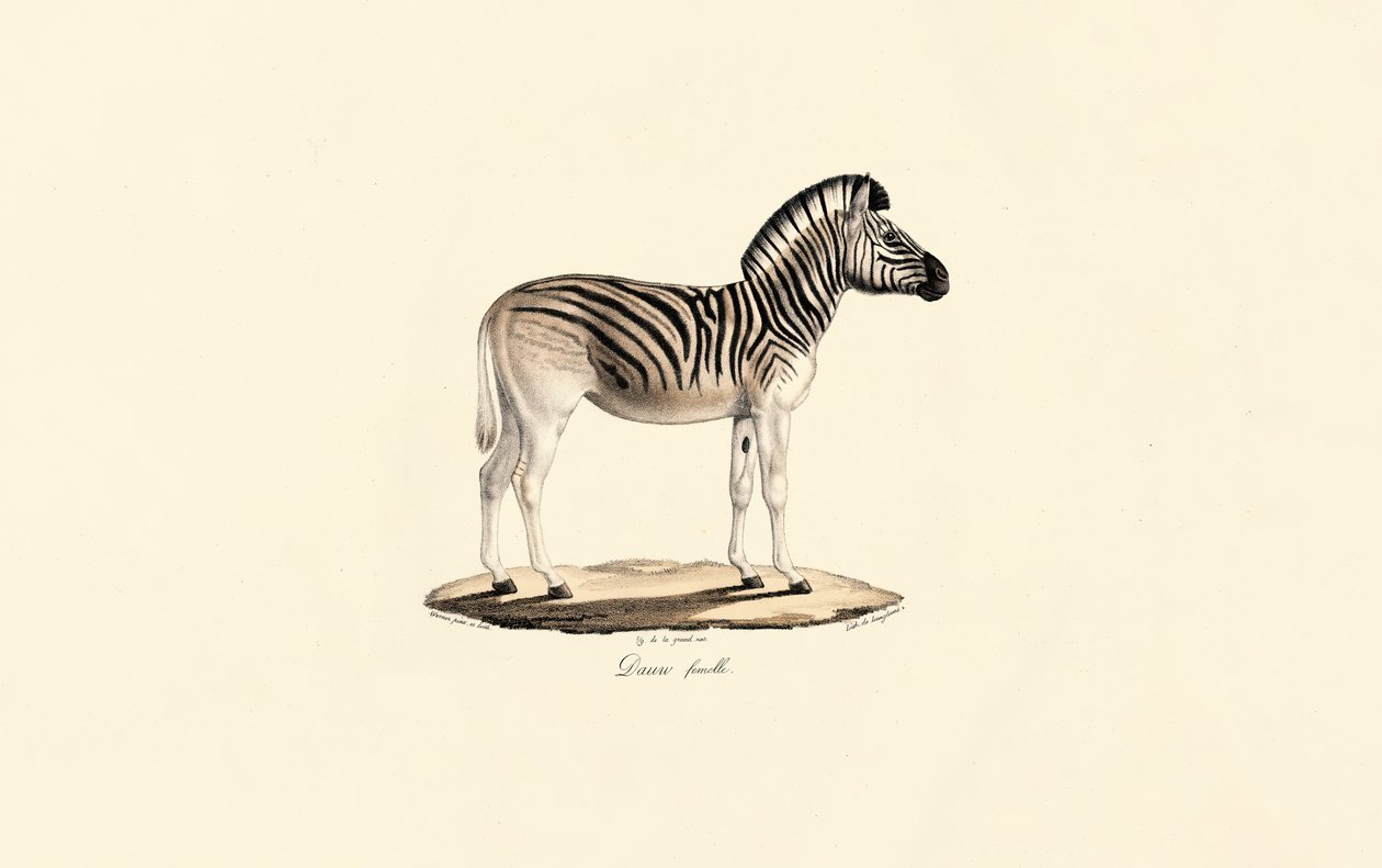  alkotó: Jacques Christophe Werner