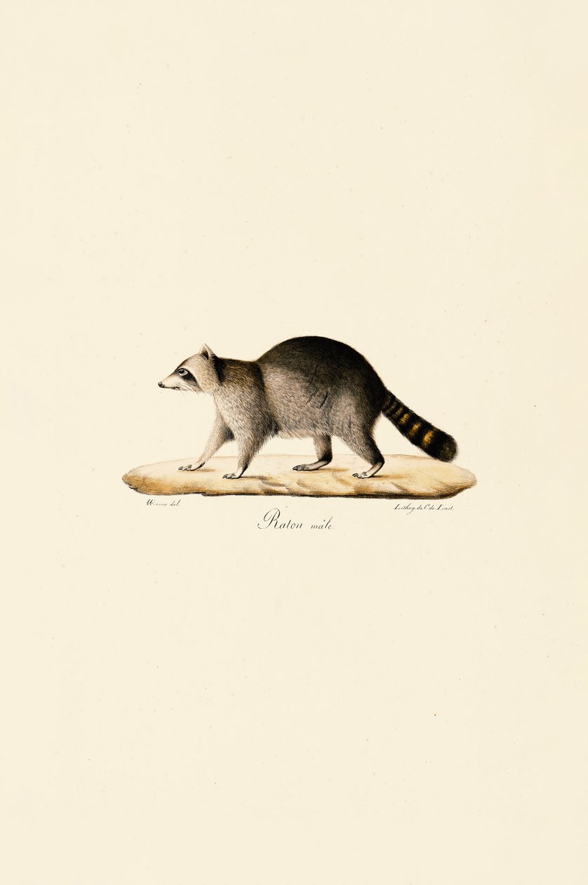  alkotó: Jacques Christophe Werner