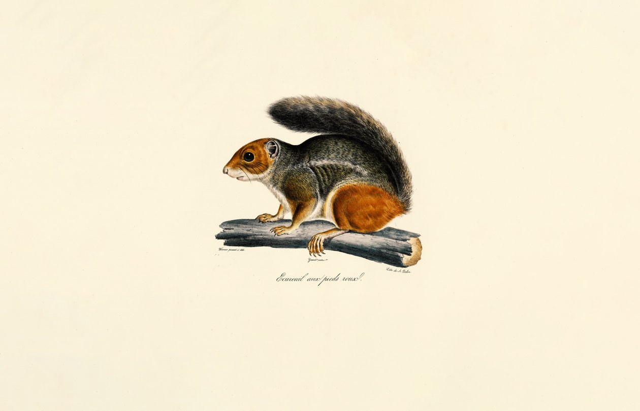  alkotó: Jacques Christophe Werner