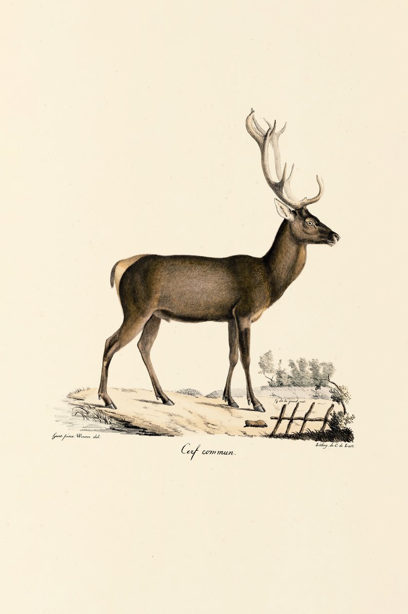  alkotó: Jacques Christophe Werner