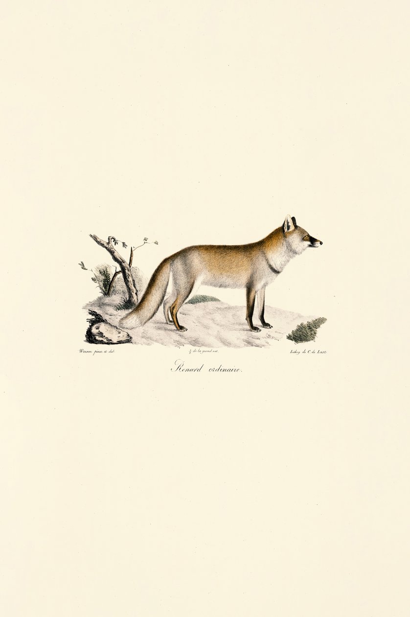  alkotó: Jacques Christophe Werner