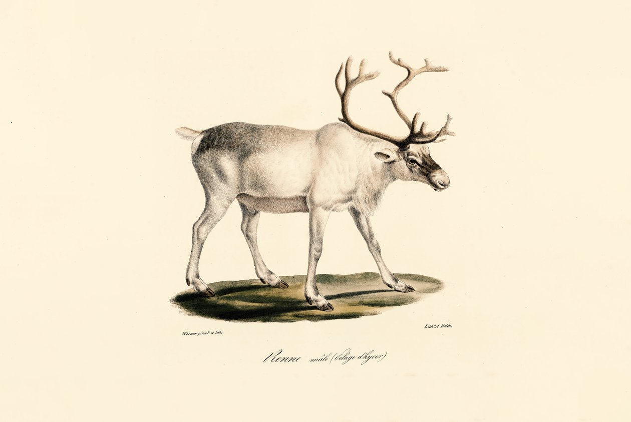  alkotó: Jacques Christophe Werner
