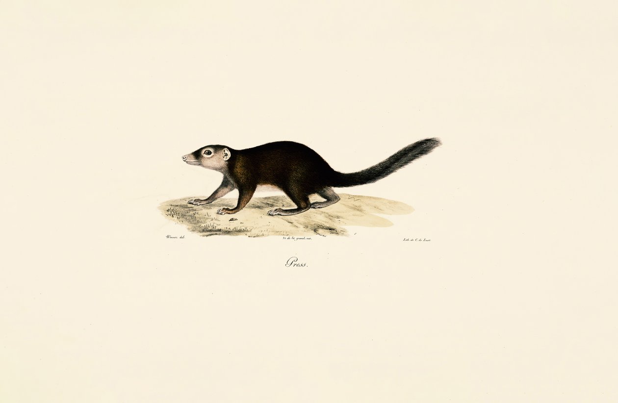  alkotó: Jacques Christophe Werner