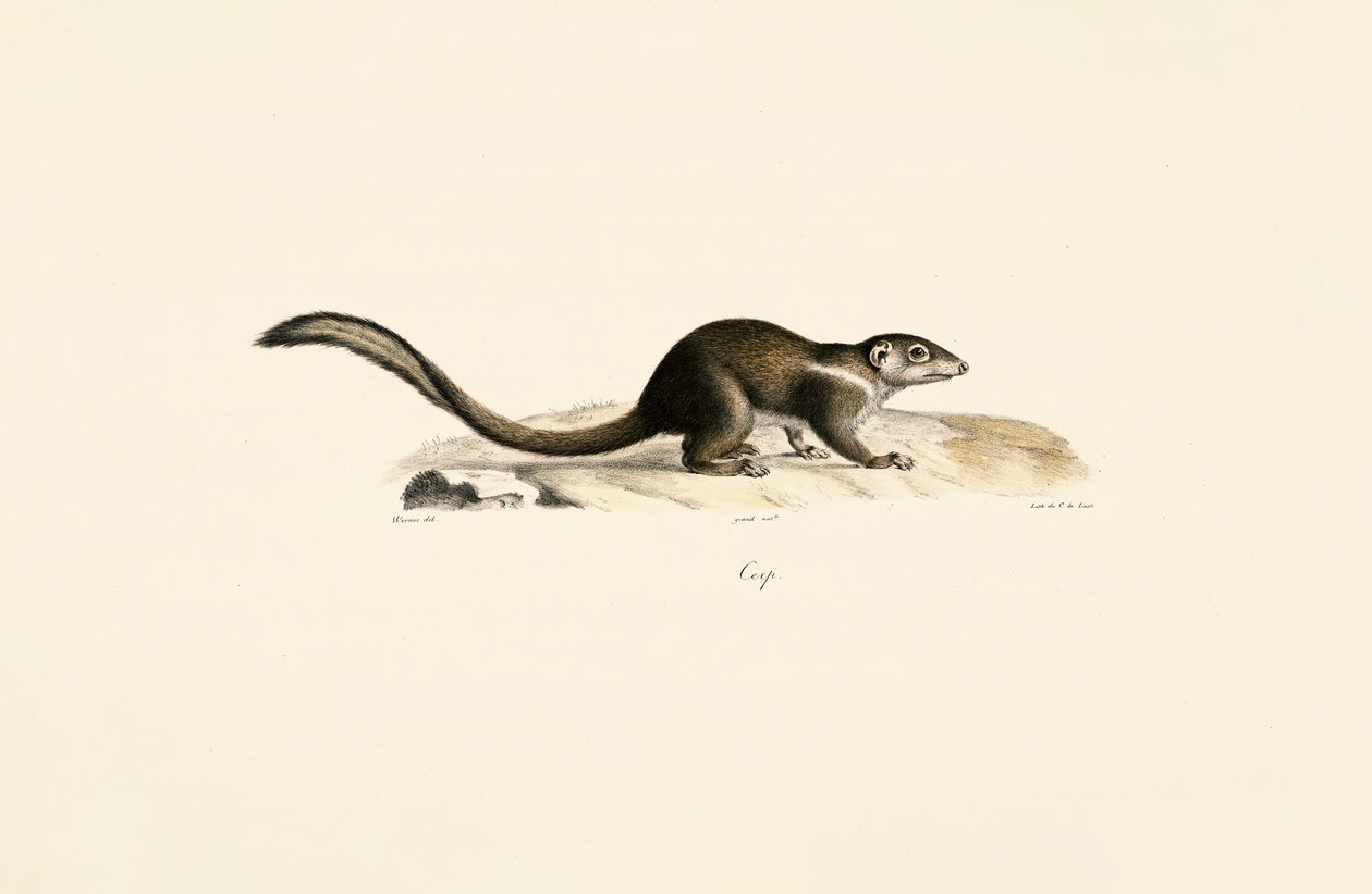  alkotó: Jacques Christophe Werner