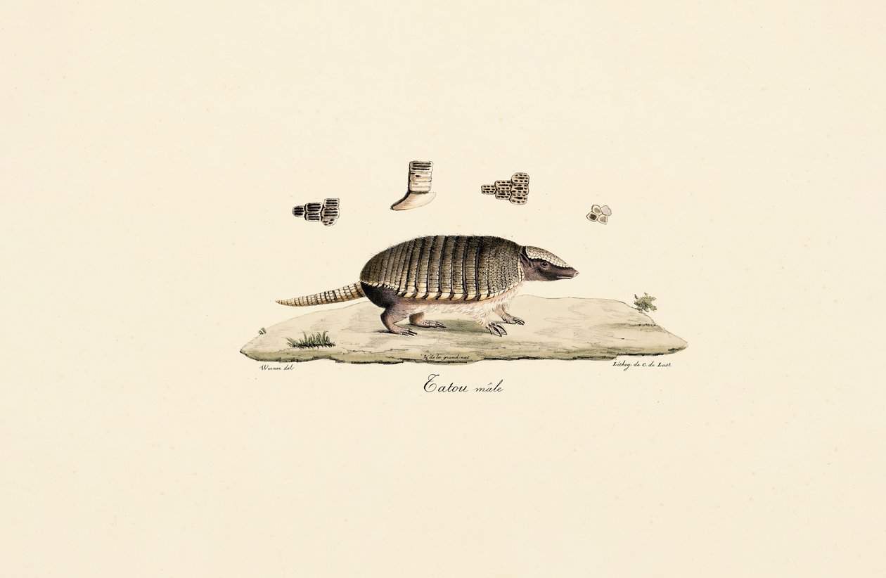  alkotó: Jacques Christophe Werner