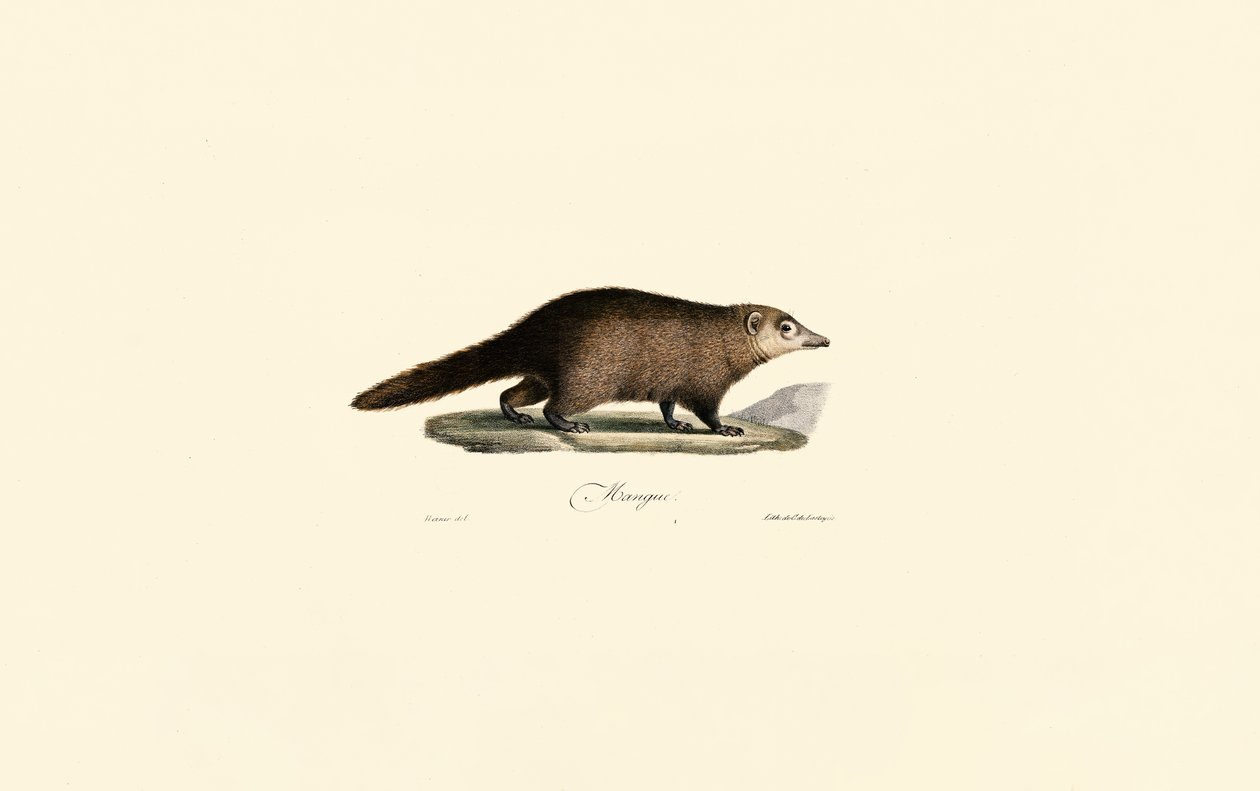  alkotó: Jacques Christophe Werner