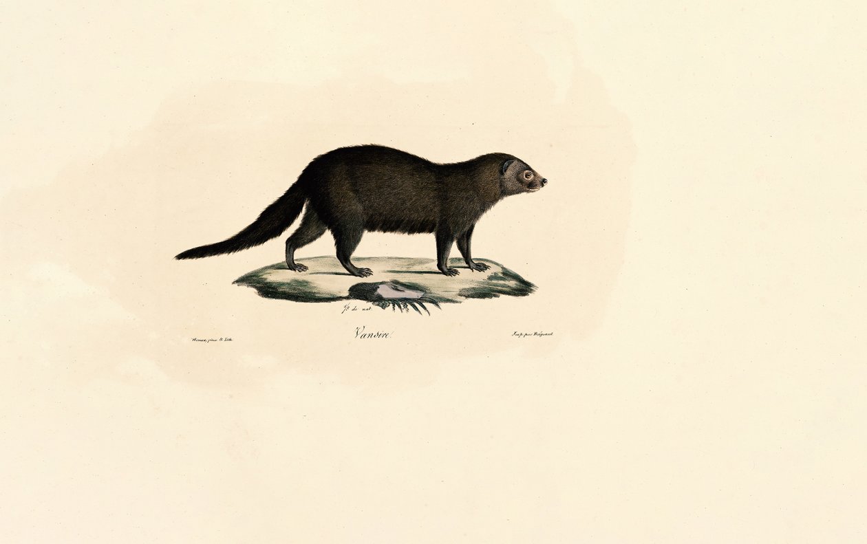  alkotó: Jacques Christophe Werner