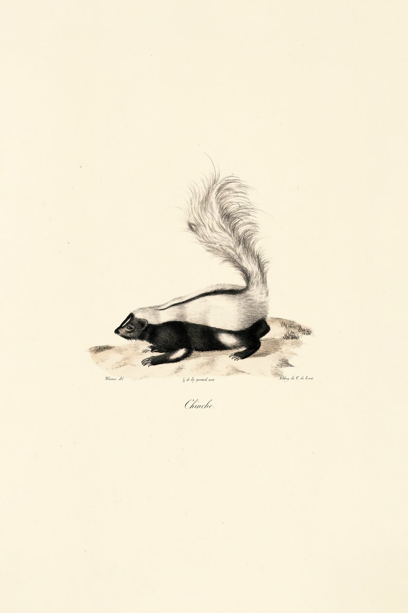  alkotó: Jacques Christophe Werner