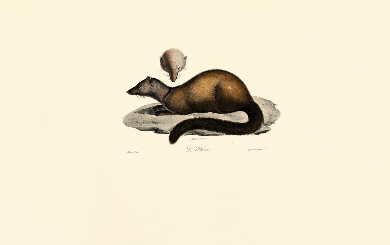  alkotó: Jacques Christophe Werner