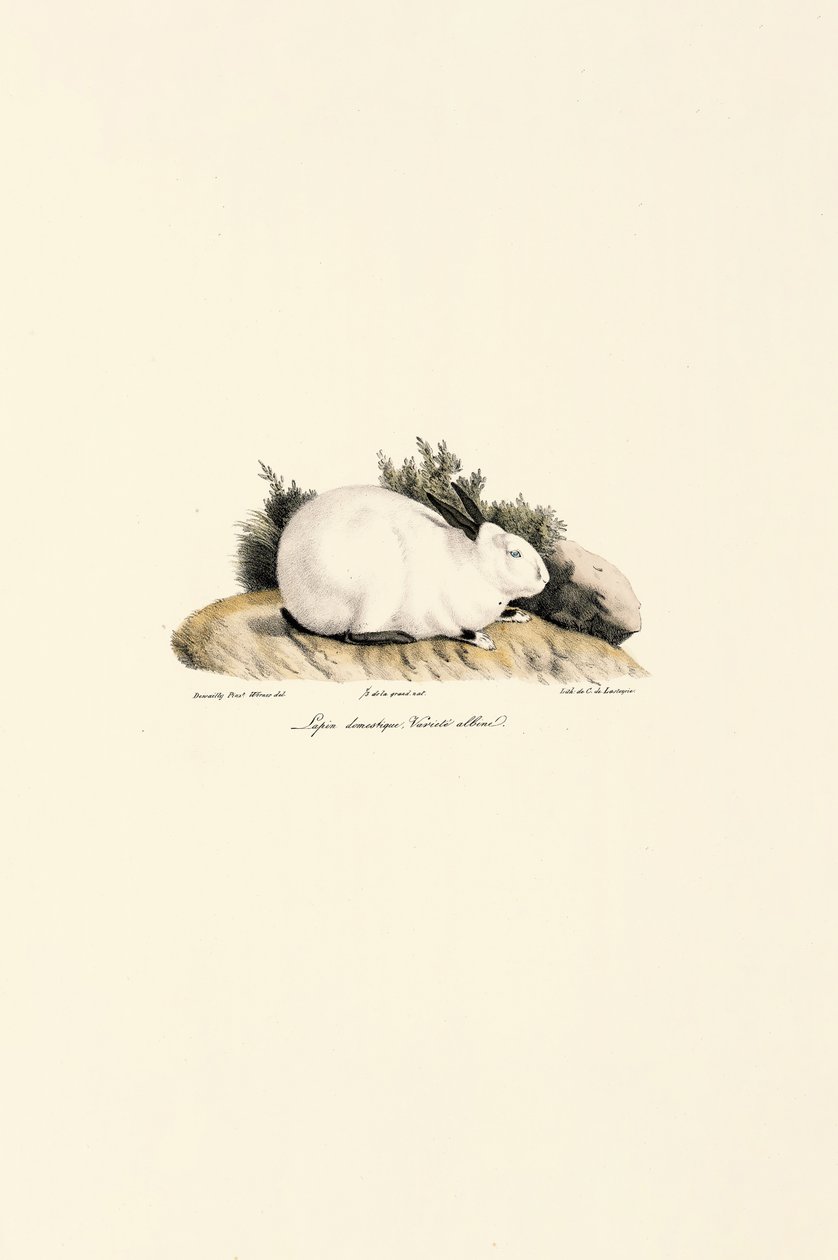  alkotó: Jacques Christophe Werner