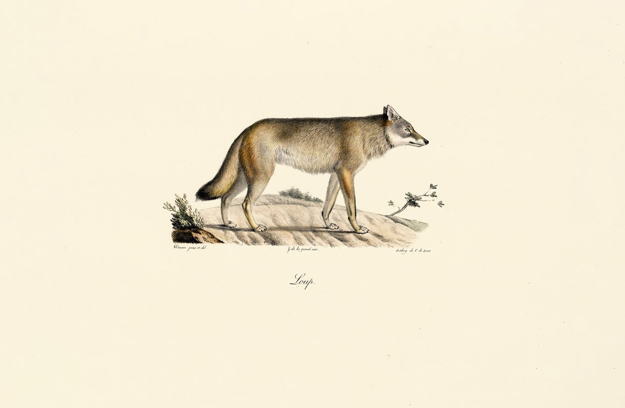  alkotó: Jacques Christophe Werner