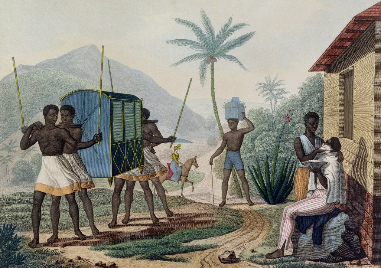 Egy palankin, akit az Ile de France-on hordanak, a „Voyage Autour du Monde sur les Corvettes de L