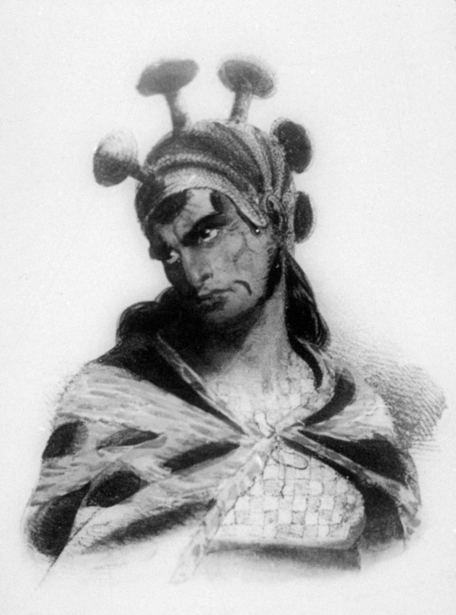 Hawaii harcos gombadíszített címeres sisakot viselő, 1819-ben alkotó: Jacques Etienne Victor Arago