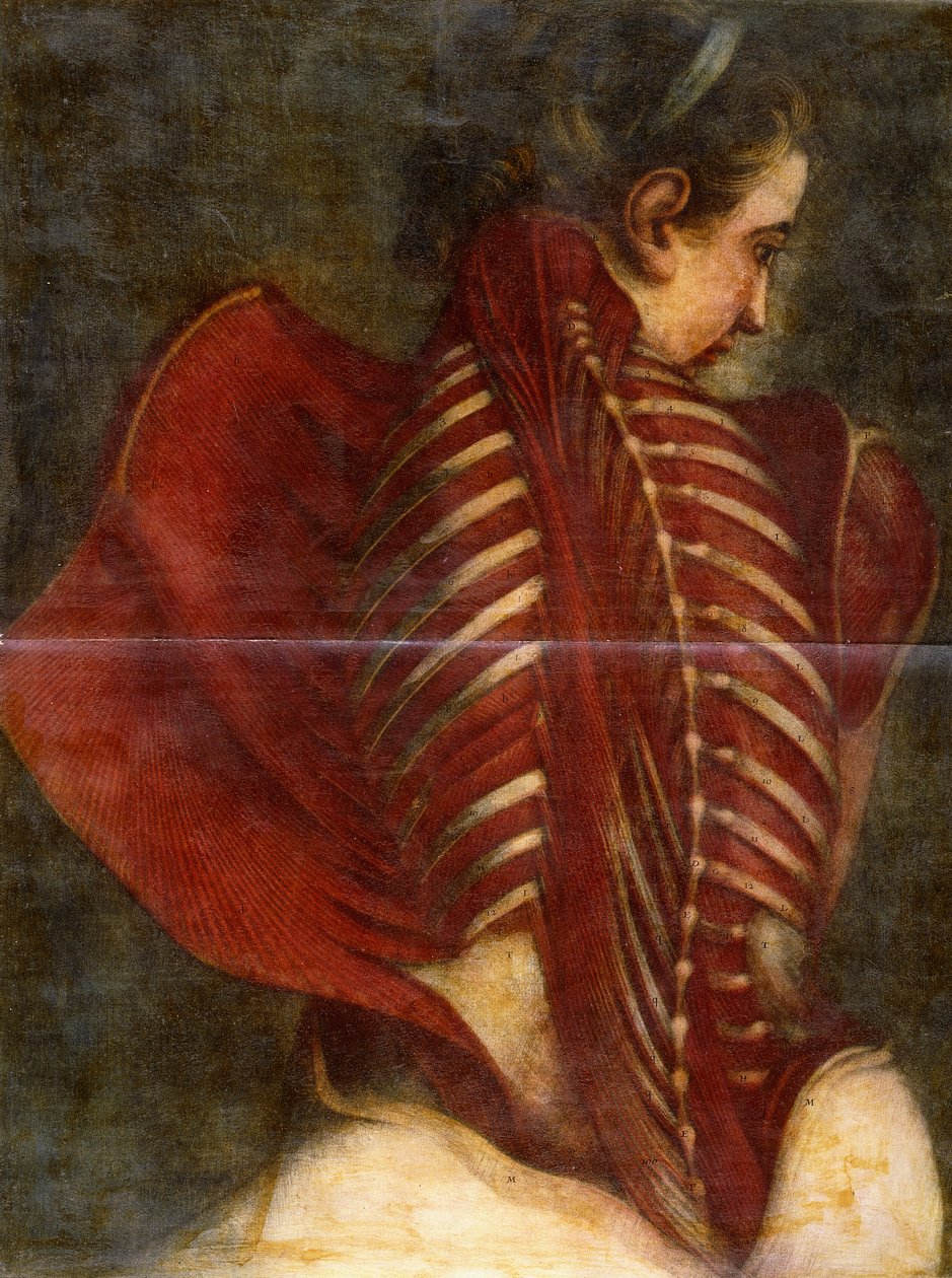 A lenyúzott angyal, 1745 körül alkotó: Jacques Fabien Gautier dAgoty