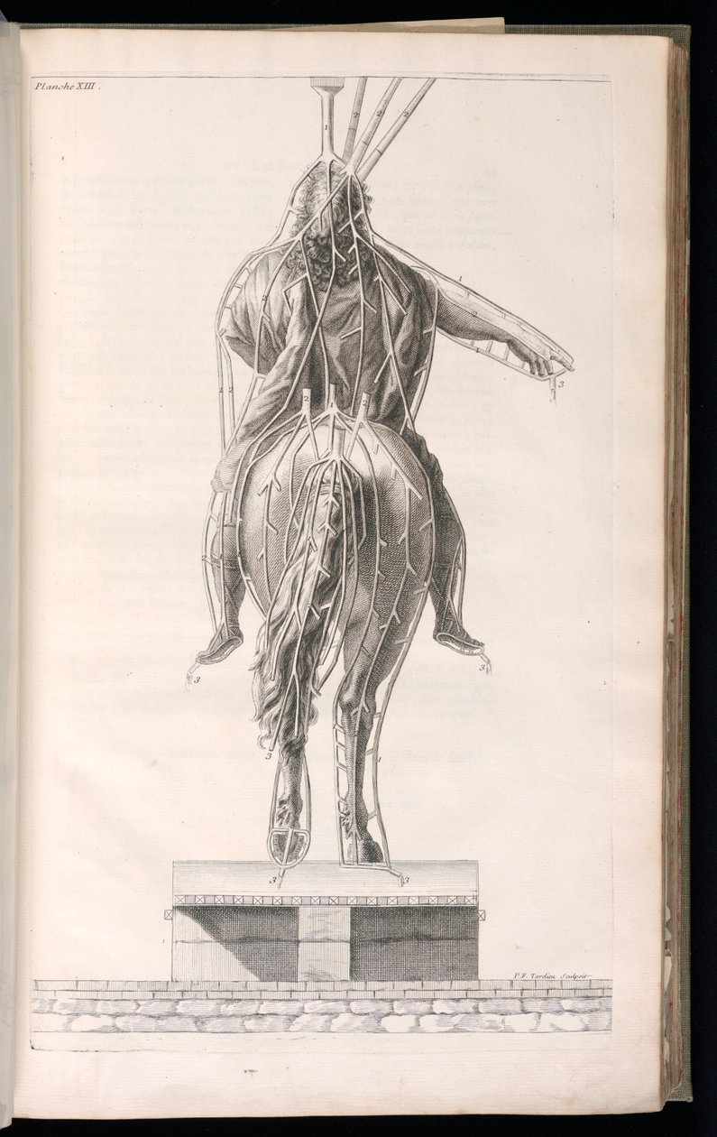 Kötött nyomat (Franciaország) alkotó: Jacques François Blondel
