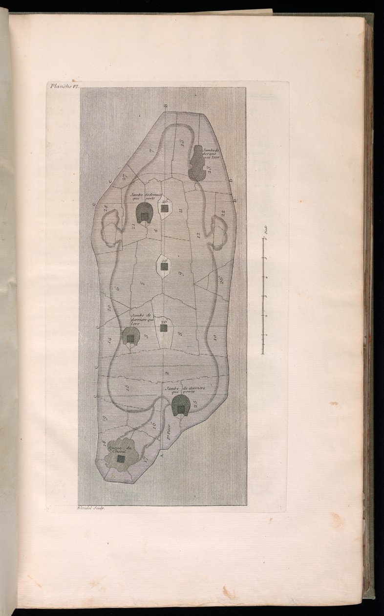 Kötött nyomat (Franciaország) alkotó: Jacques François Blondel
