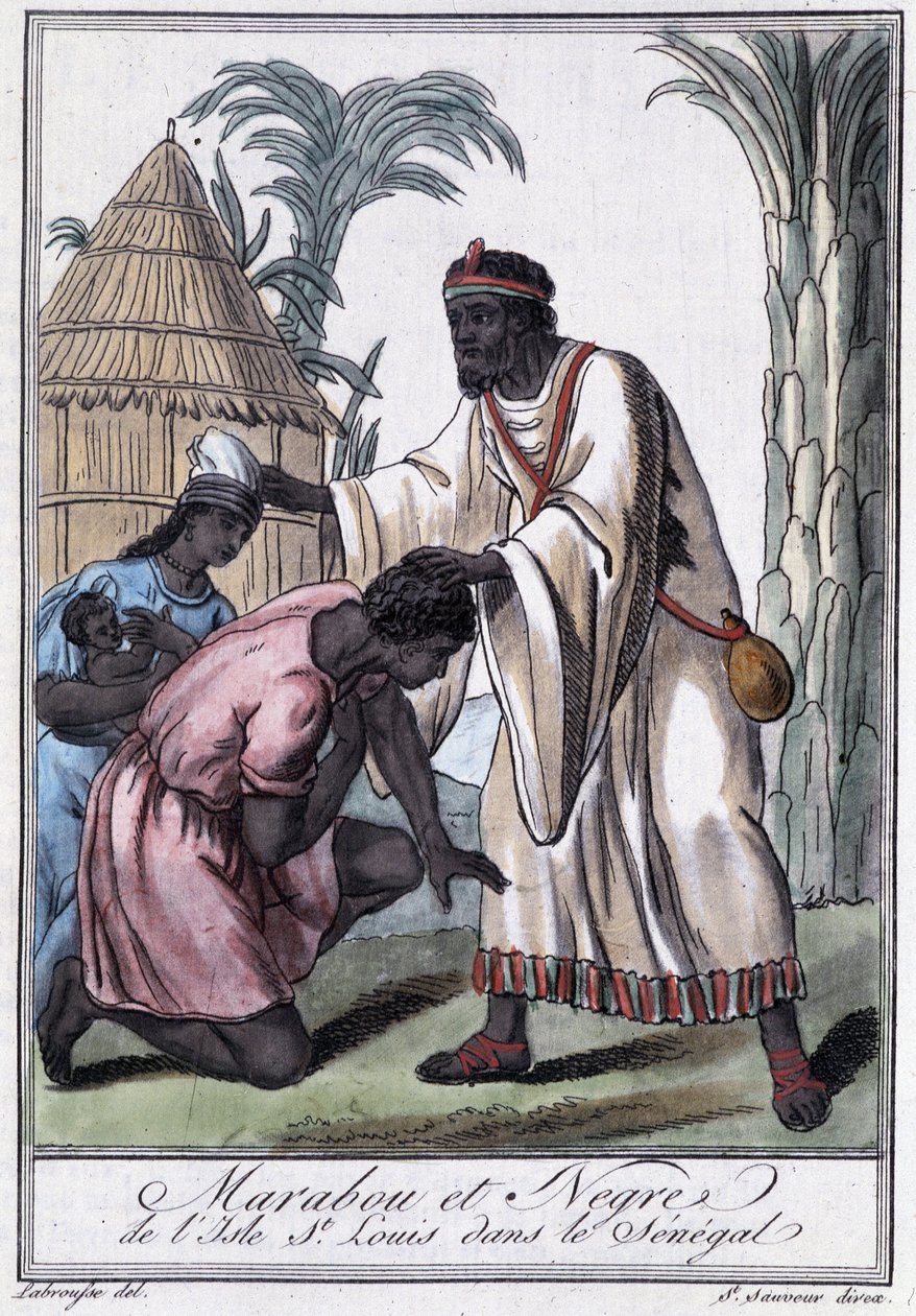 Marabou a Saint Louis-szigetről, Szenegál - Grasset Saint Sauveur „” Utazások enciklopédiájában”, szerk. Párizs 1796 alkotó: Jacques Grasset de Saint Sauveur